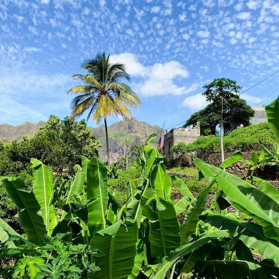 Picture 11 for Activity Praia: Hike Natural Park Serra Malagueta & Principal Valley 1
