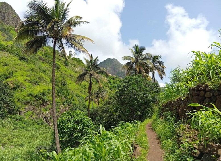 Picture 9 for Activity Praia: Hike Natural Park Serra Malagueta & Principal Valley 5