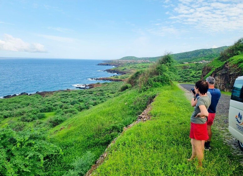 A coastal landscape with lush greenery, a rocky shoreline, and a paved path. 2
