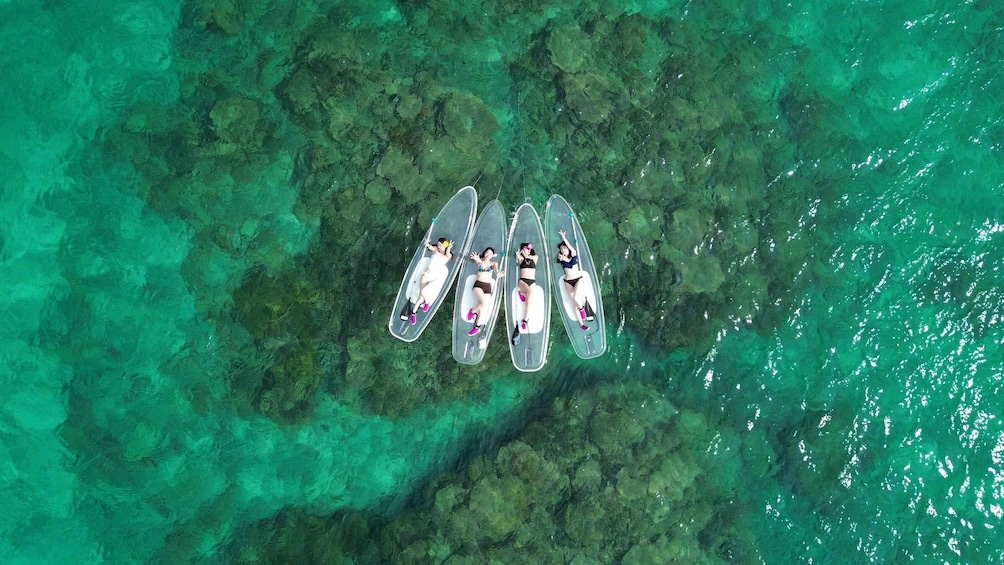 An aerial view of four people on surfboards in clear turquoise water. 4