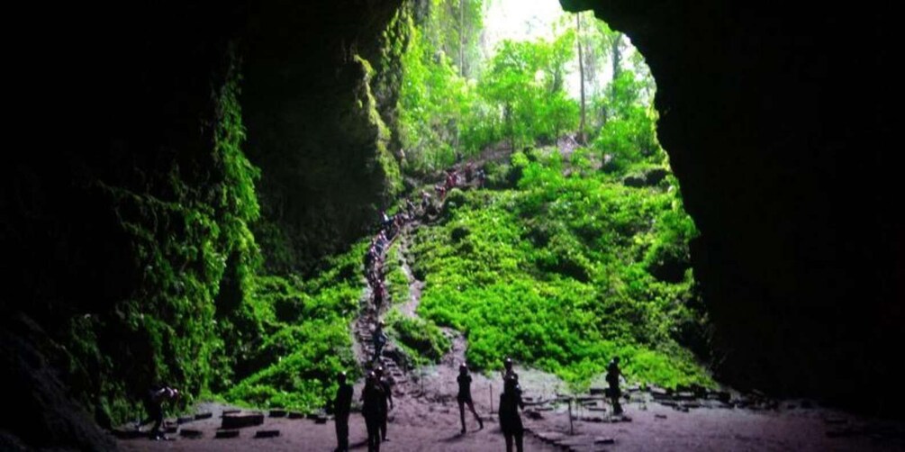 A cave entrance with a forested path leading out. 3