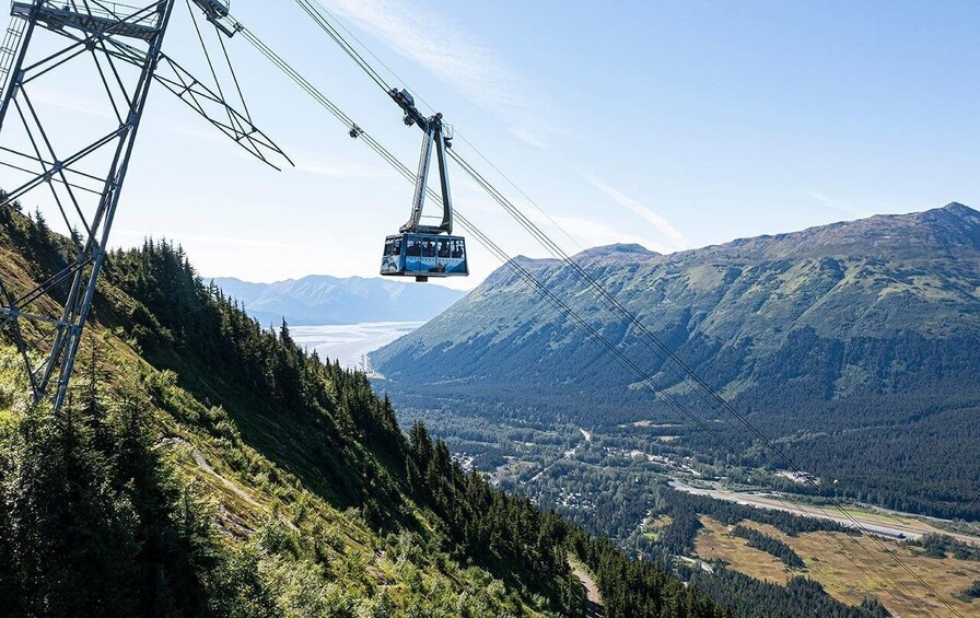 A cable car ascending a mountain with a valley and a lake in the background. 4