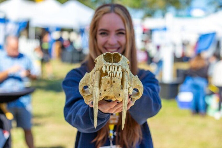 A person holding a large skull model outdoors with tents and people in the background. 3