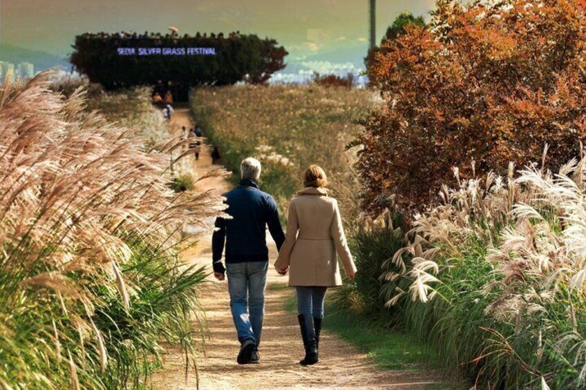 A couple walking on a path surrounded by tall grasses and bushes, heading towards a sign that reads 'SEVEN SILVER GRASS FESTIVAL.' 3
