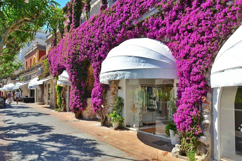 A street lined with shops, some with white awnings and vibrant purple bougainvillea. 5