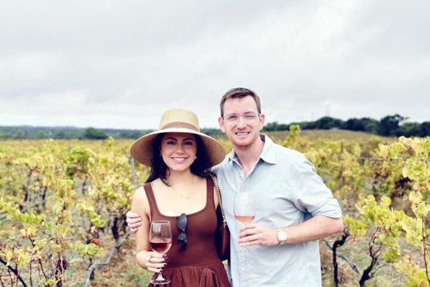 A vineyard with rows of grapevines. 1