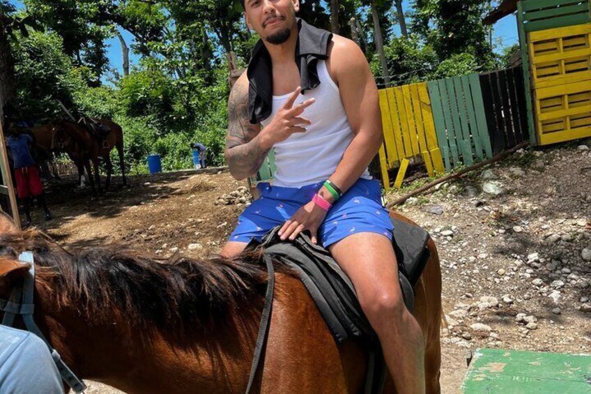 A person sitting on a horse in an outdoor setting with trees and a fence in the background. 2
