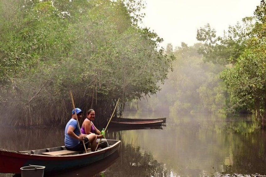 Guardians of the Mangrove: Eco & Community. Quetzal port 1