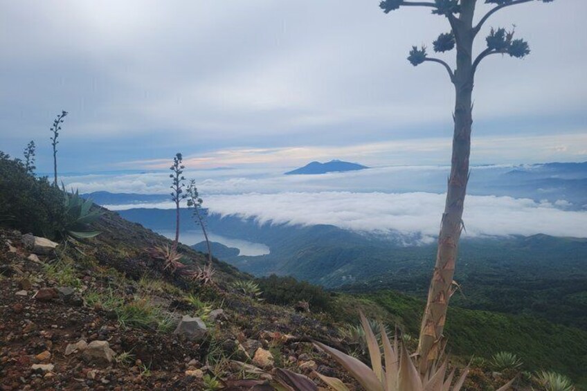 A mountain landscape with a prominent tree, rocky terrain, and a valley below shrouded in clouds. 2