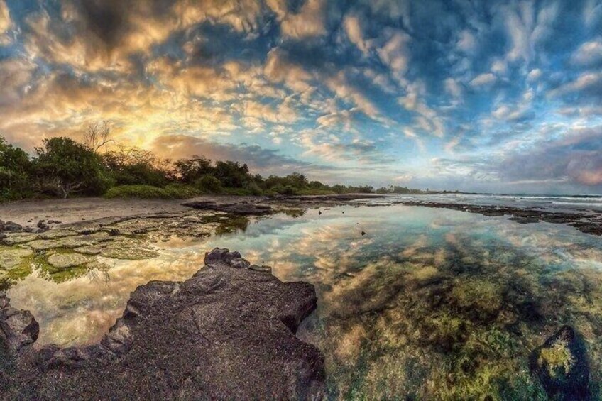 A coastal landscape with a rocky foreground, calm water reflecting the sky, and a distant shoreline with vegetation. 1