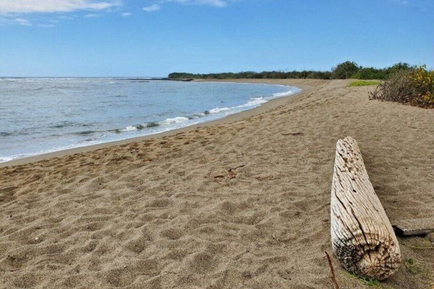 A sandy beach with a wooden log and a clear blue sky. 4