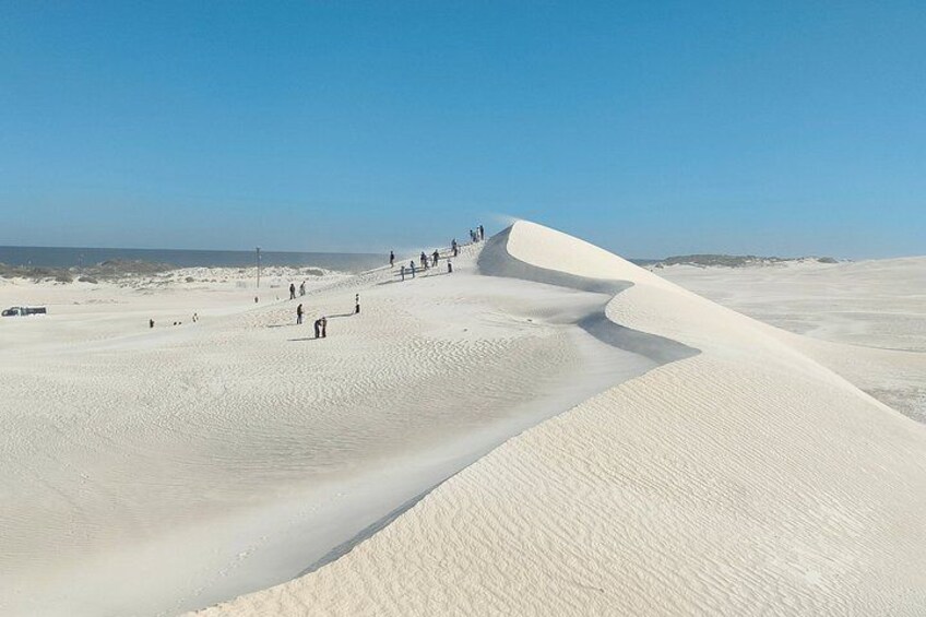 A desert landscape with sand dunes and a clear sky. 2