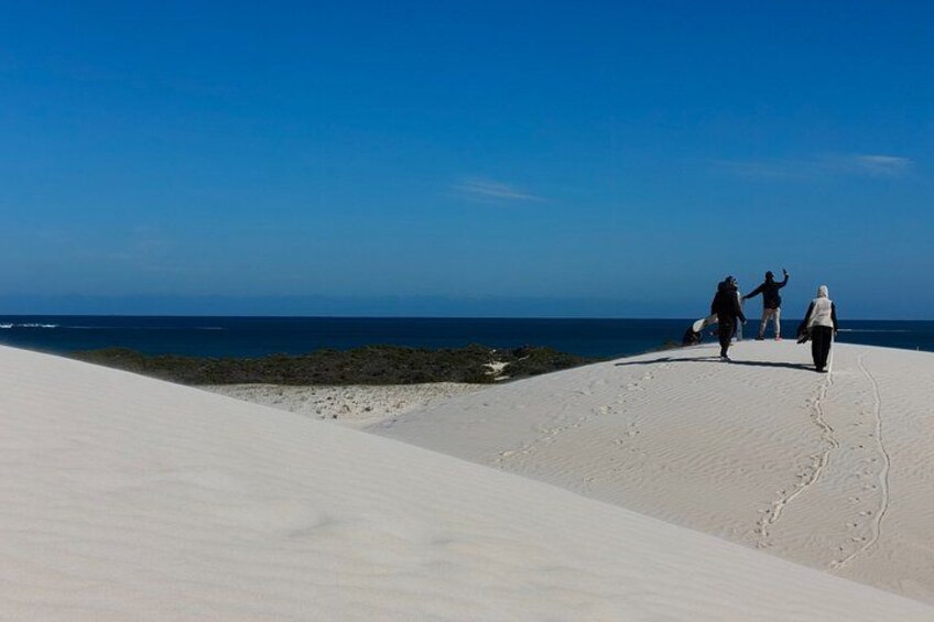 A sandy beach with footprints leading to the water. 4