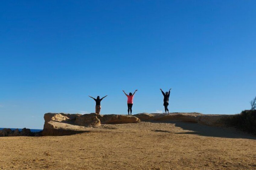 Koala, Lancelin, Wedge Island and Pinnacles Tour from Perth 2