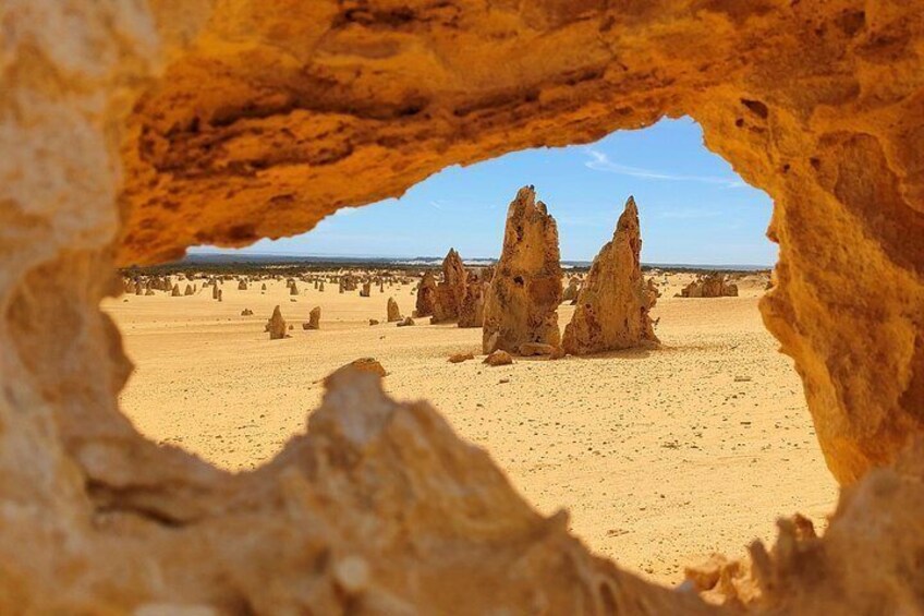 Koala, Lancelin, Wedge Island and Pinnacles Tour from Perth 2