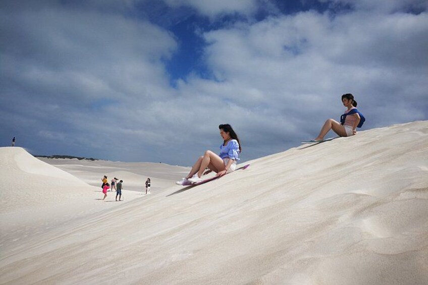 Koala, Lancelin, Wedge Island and Pinnacles Tour from Perth 3