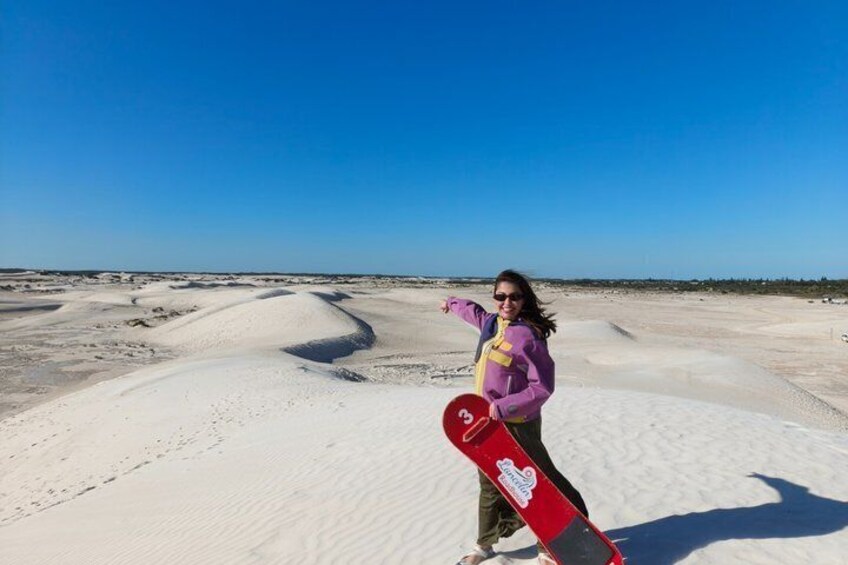 Koala, Lancelin, Wedge Island and Pinnacles Tour from Perth 5