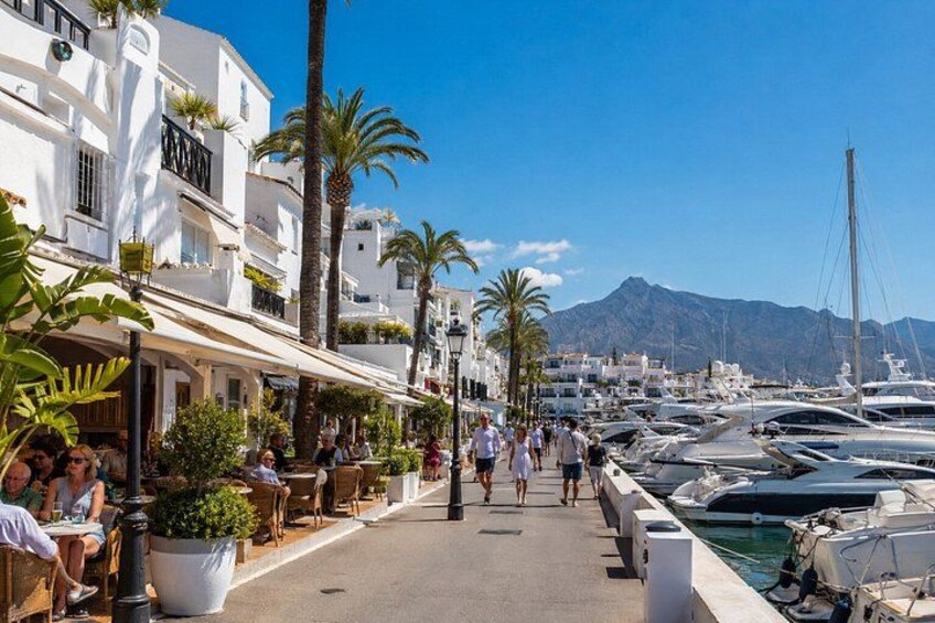 A marina with boats, a pedestrian walkway lined with palm trees and cafes, and a mountain in the background. 2