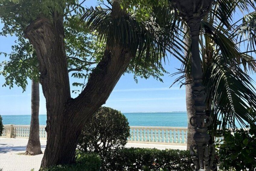 A tree-lined pathway leading to a beach with a clear view of the ocean. 1
