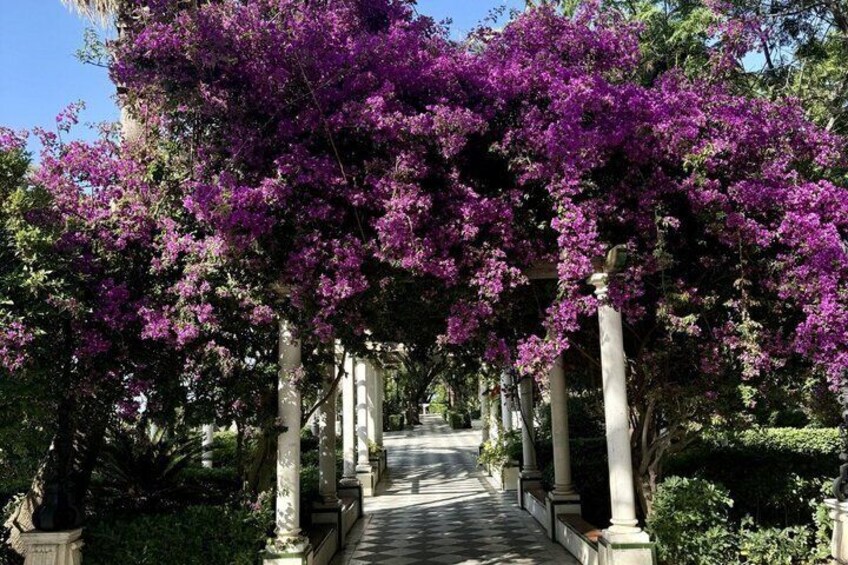 A garden pathway with purple flowering trees and classical columns. 2