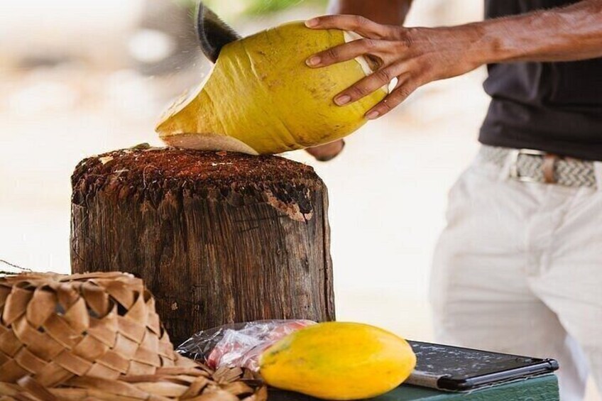 Coconut Experience with The CocoMon in Kailua Kona 2