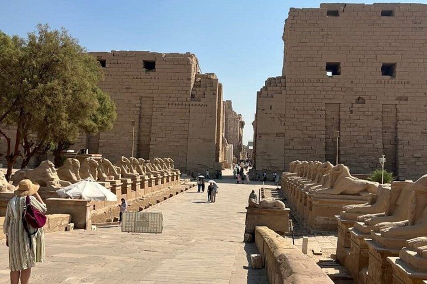 A pathway lined with sphinx statues leading to ancient Egyptian ruins. 5