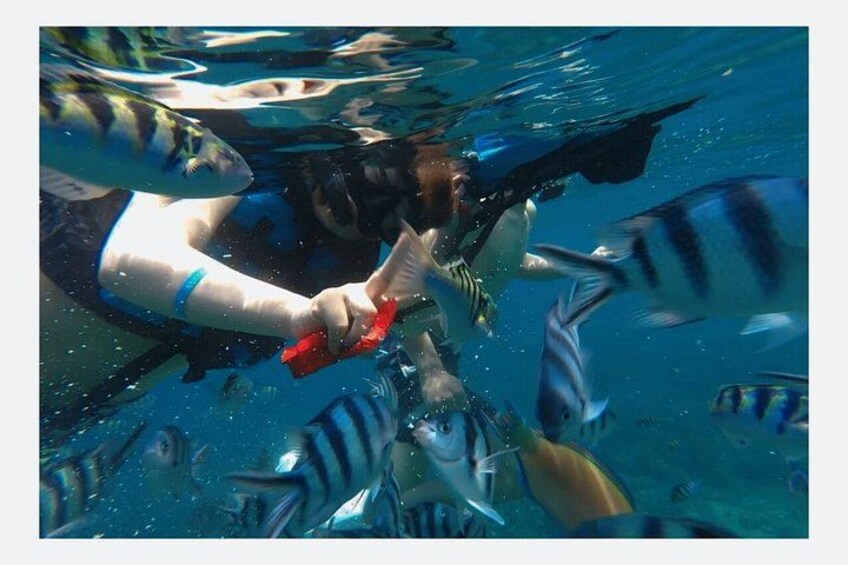 Bali Snorkeling: Blue Lagoon &Tanjung Jepun with Lunch & Transfer 5