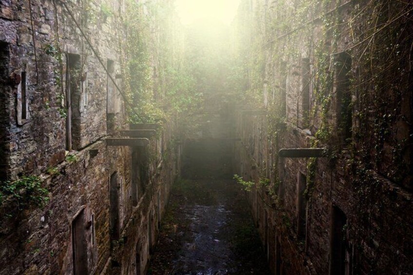A narrow alleyway with brick walls, some vegetation, and a small stream running through it. 5