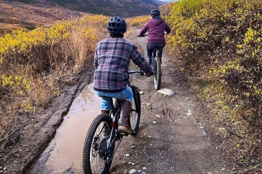 Two cyclists on a muddy trail surrounded by autumn foliage. 3