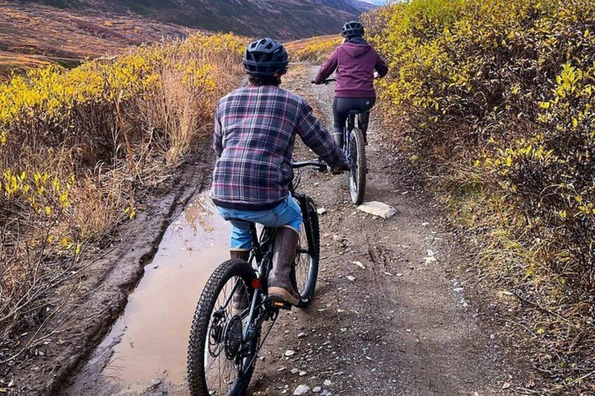 Two cyclists on a muddy trail surrounded by vegetation. 2