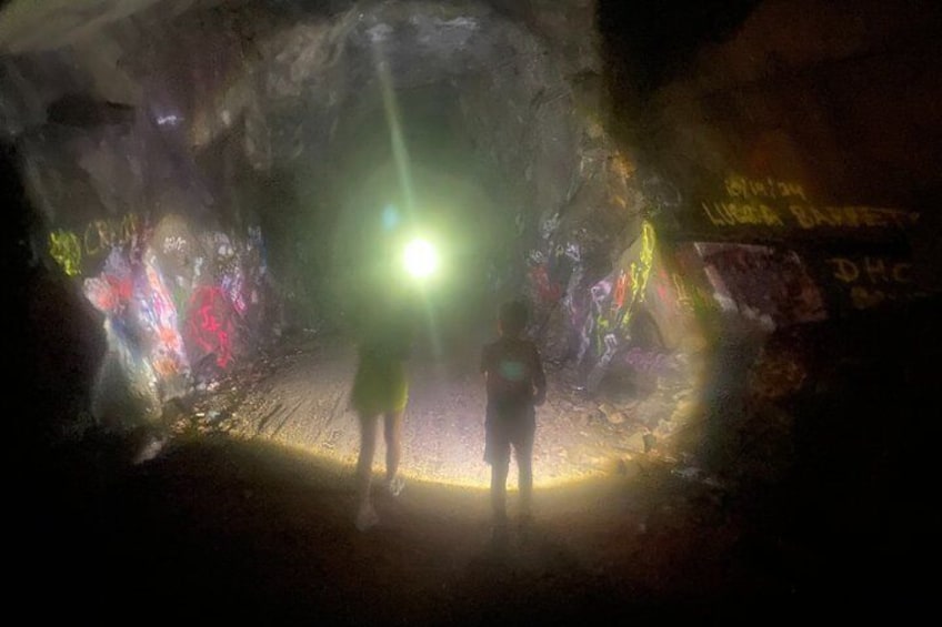 A dimly lit tunnel with graffiti on the walls and a bright light at the end. 3