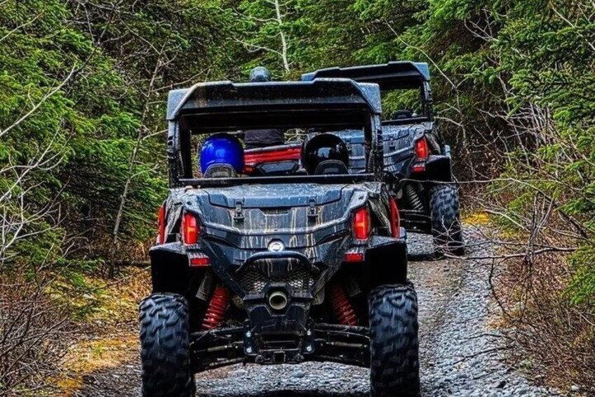 Two off-road vehicles on a gravel path surrounded by dense forest. 1