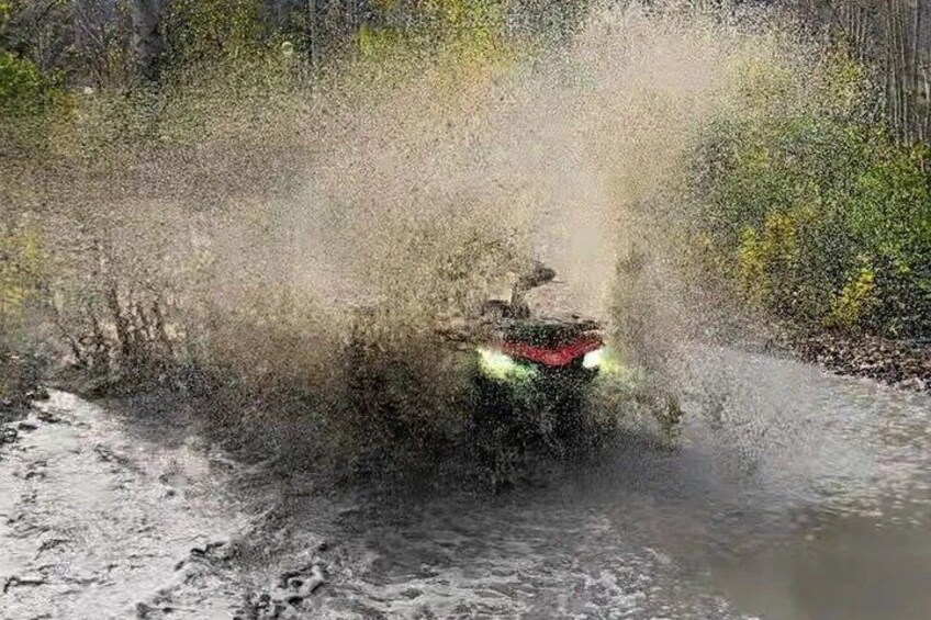 A vehicle splashing through water, surrounded by trees and a muddy bank. 5