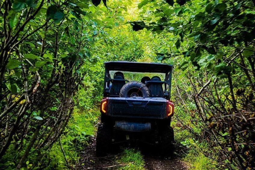 A vehicle driving through a narrow forest path. 2
