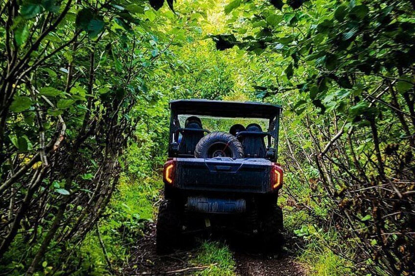 Midnight Sun ATV Adventure in Hatcher Pass 2