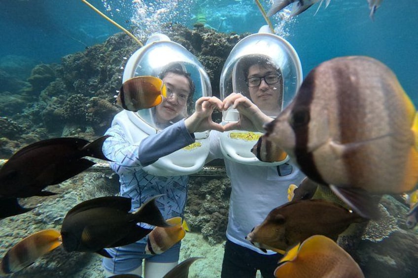 Two people in scuba diving gear surrounded by fish. 5