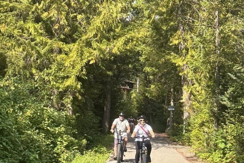 Two people cycling on a forested path. 4