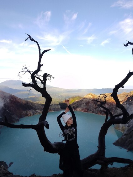 A person standing on a tree branch with a lake and mountains in the background. 4
