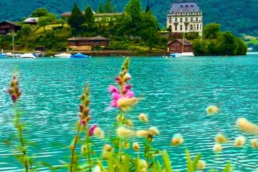 A lake with clear water, a large building, and greenery in the background. 5