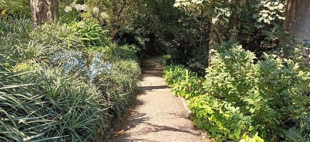 Sintra: Hidden Secrets Mountain Walk with Local Guide 1