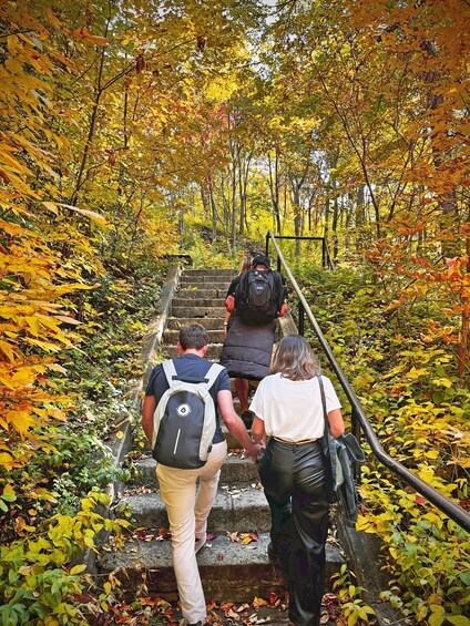 A group of people ascending a stone staircase surrounded by autumn foliage. 2