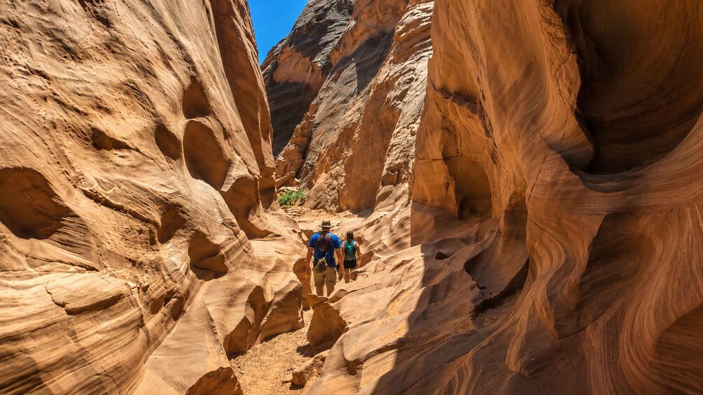 A narrow canyon with hikers walking through. 5