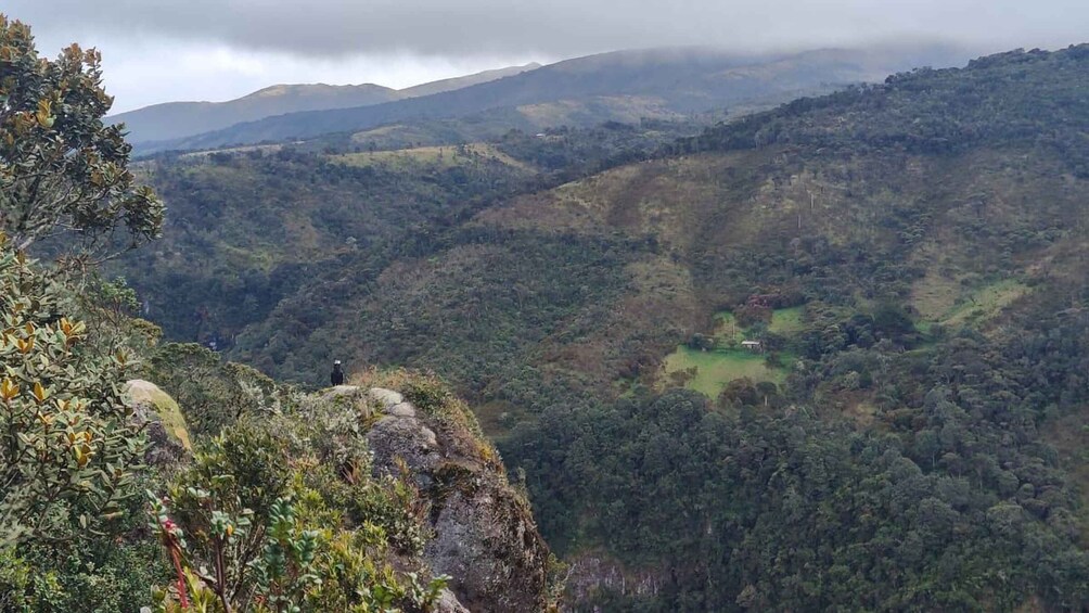A mountainous landscape with dense forests and a small house in the valley. 1