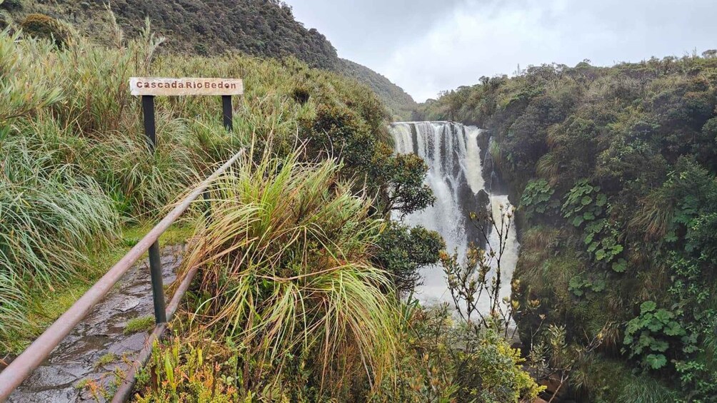 A sign for Cascada Rio Bedon, a waterfall, and a trail. 4