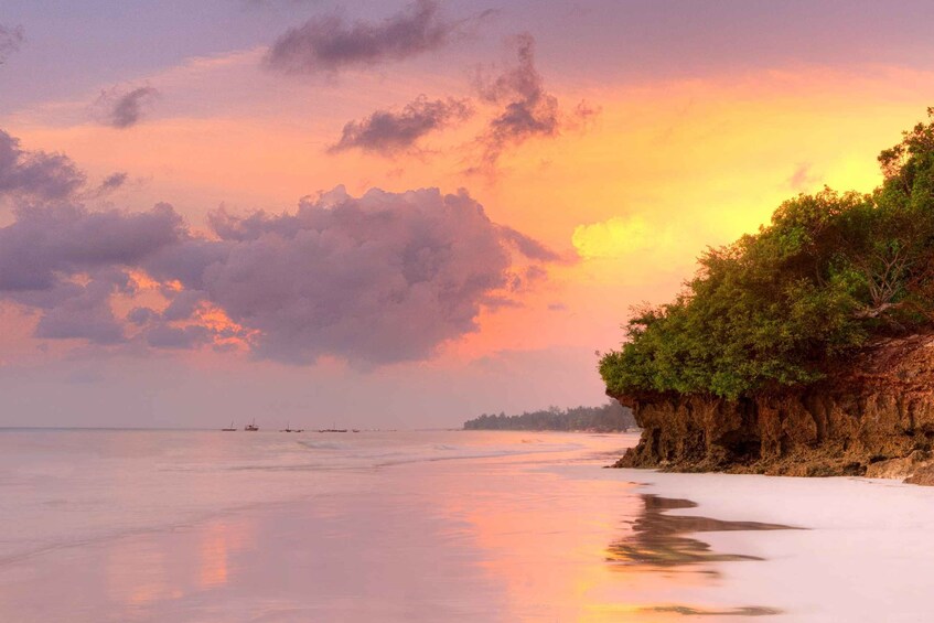 A beach with a sunset, calm sea, and a cliff with vegetation. 5