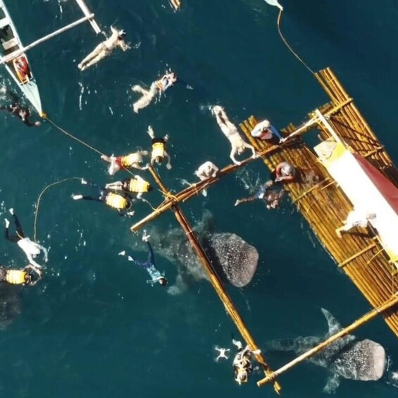 A group of people engaged in a water activity, possibly snorkeling or diving, near a wooden structure in the water. 2