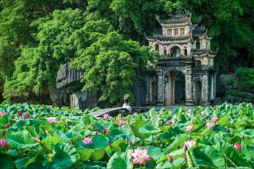 A traditional Chinese pavilion surrounded by lotus ponds and lush greenery. 1
