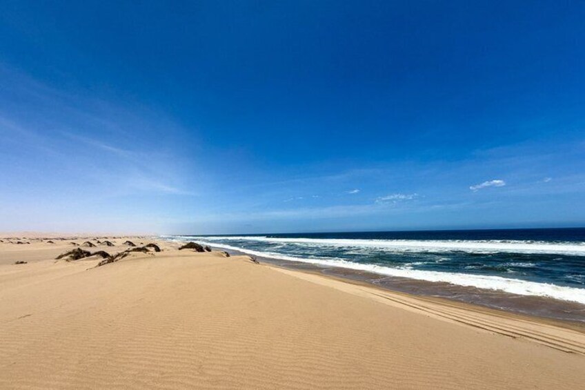 A wide sandy beach with gentle waves, a clear blue sky, and distant dunes. 5