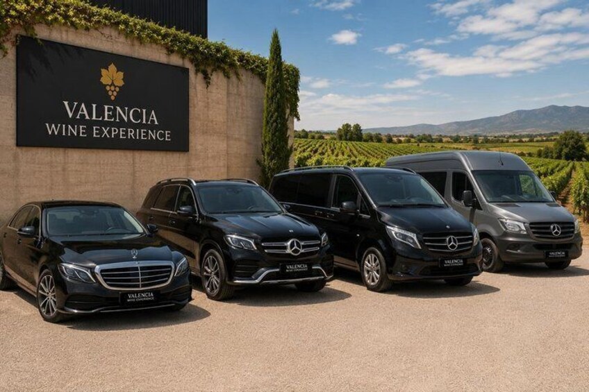 Valencia Wine Experience Requena Wineries and Local Lunch 2