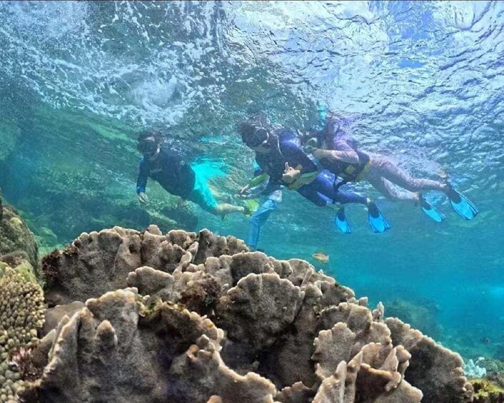 Three divers swimming underwater near coral formations. 1